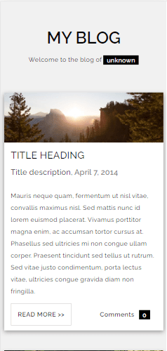 a screenshot of a blog template website's mobile version